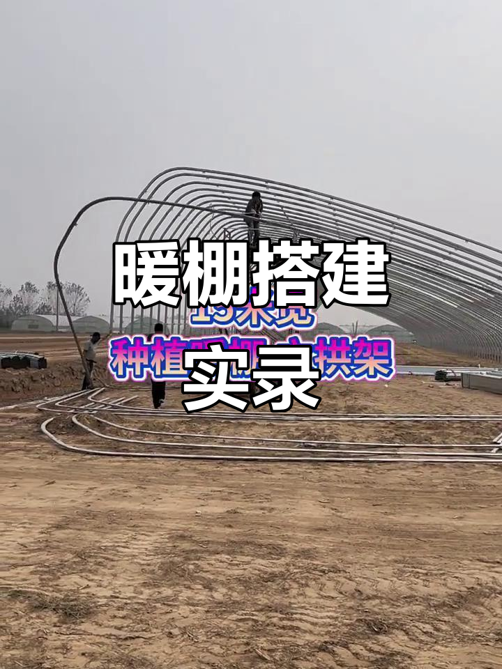 暖棚建设进行中,蔬菜大棚施工全纪录