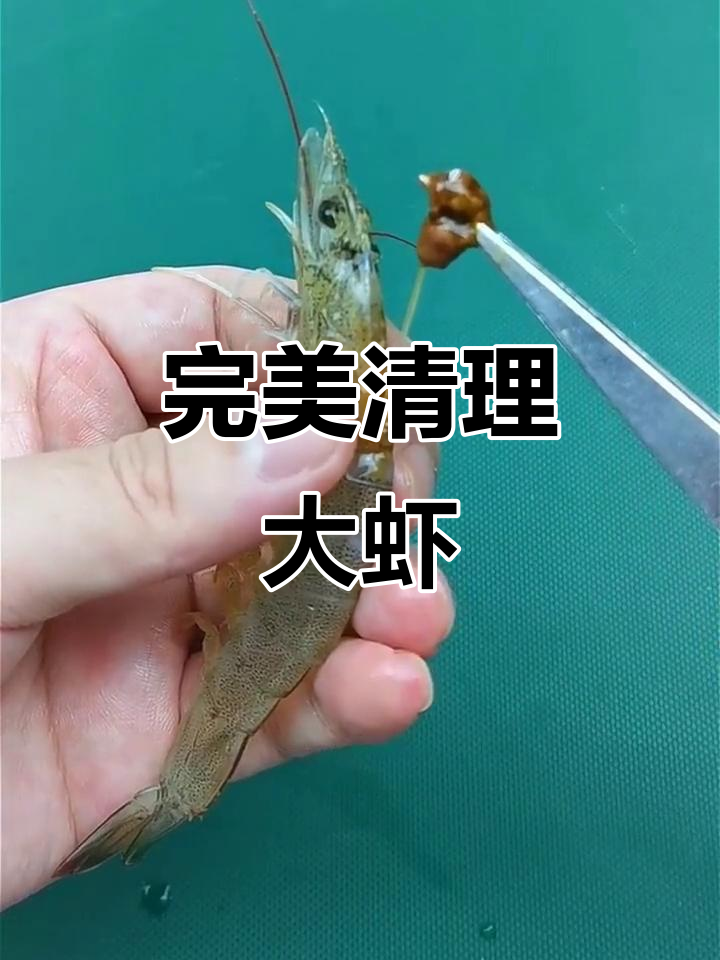 大虾处理技巧大揭秘，教你正确去头、胃和内脏