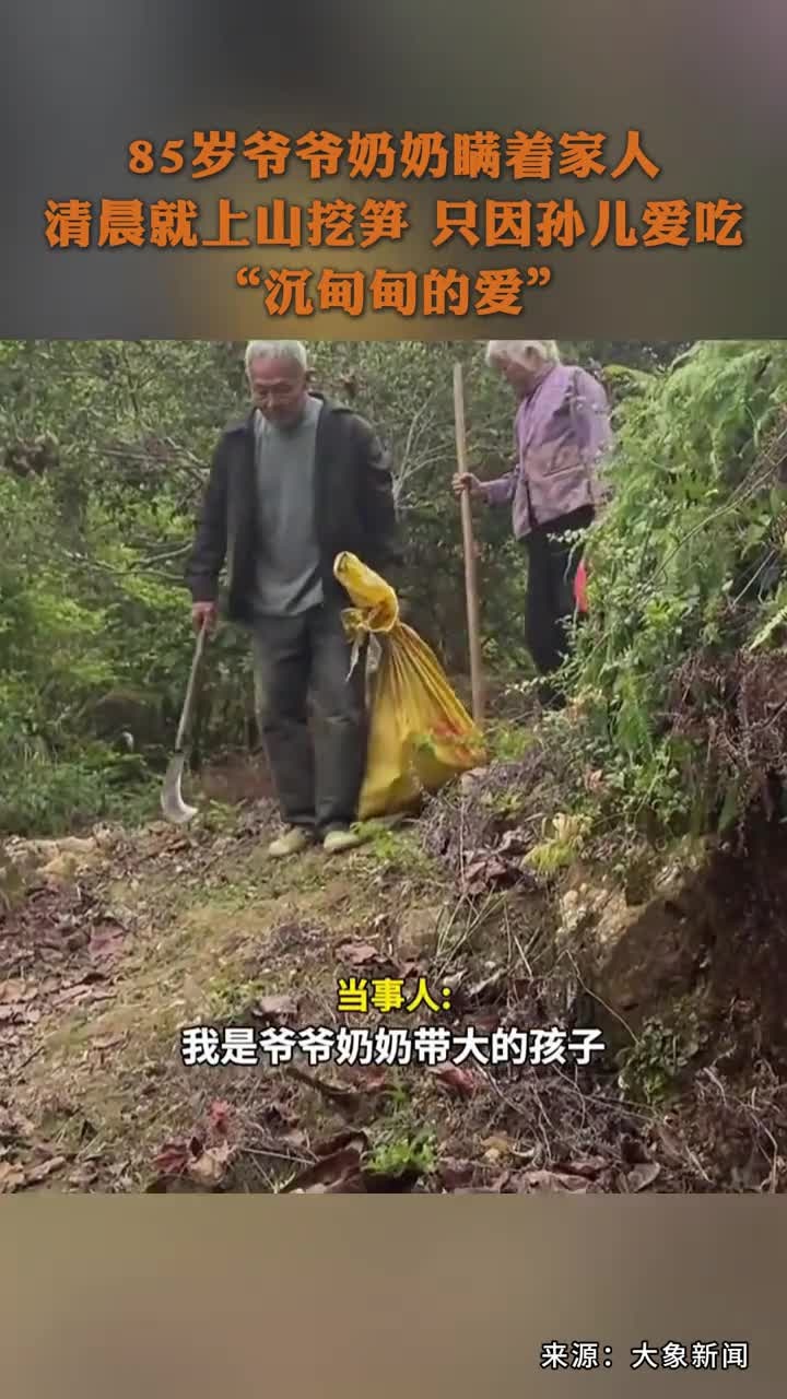 85岁爷爷奶奶瞒着家人,清晨就上山挖笋,只因孙儿爱吃。“沉甸甸的爱!”