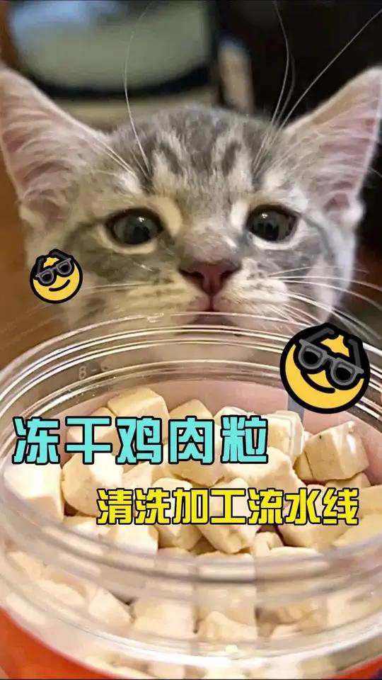 冻干技术能够在低温下迅速去除鸡肉中的水分,最大限度地保持鸡肉原有的营养成分,如蛋白质、维生