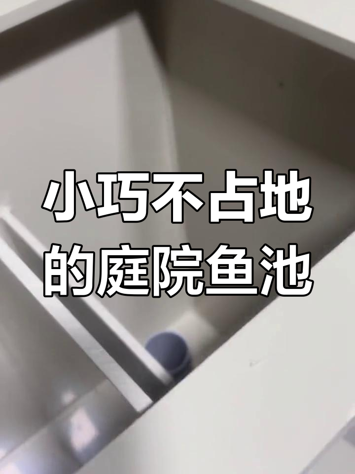 庭院鱼池设计大揭秘:水循环系统全解析