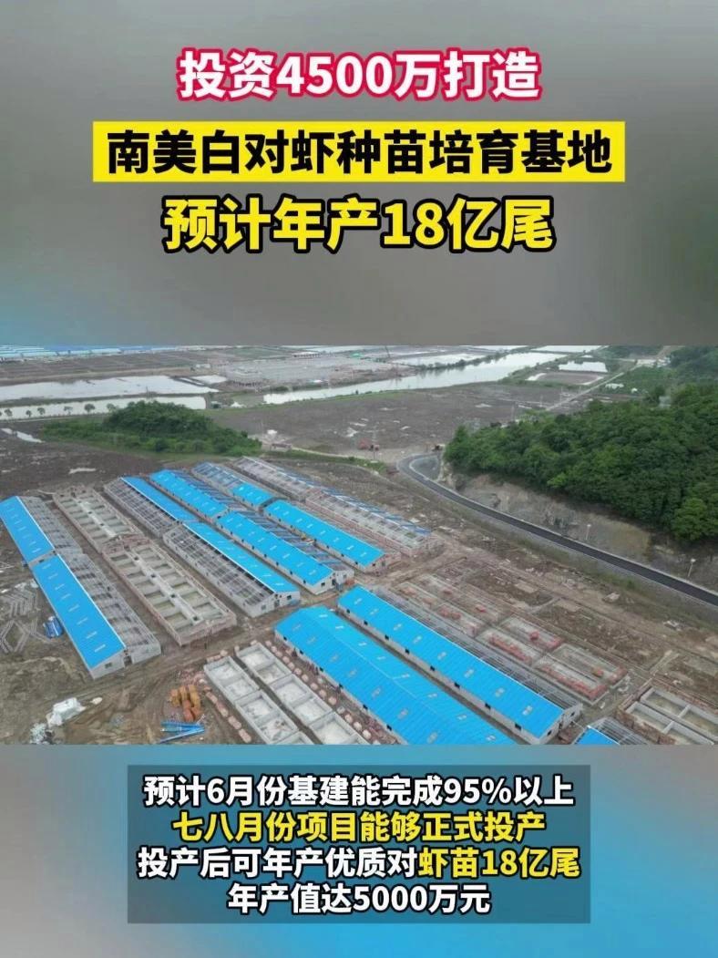 投资4500万打造南美白对虾种苗培育基地,投产后预计年产18亿尾对虾苗 虾苗 对虾养殖 水