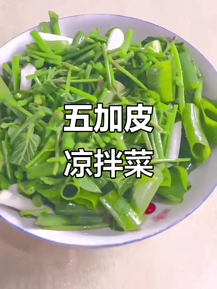 刺五加凉拌菜,清热解毒又美味