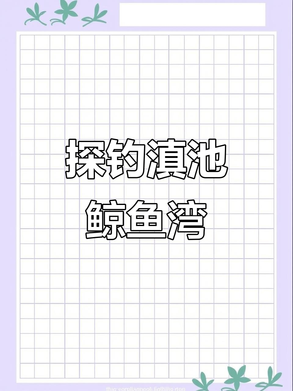 滇池鲸鱼湾钓鱼之旅,免费开放区钓青烧