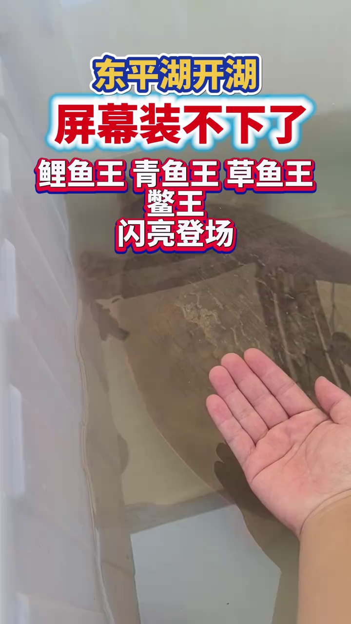 震撼！东平湖开湖盛典，鱼王鳖王齐亮相   东平湖开湖啦！各类鱼王、鳖王齐聚湖面，个头惊人、