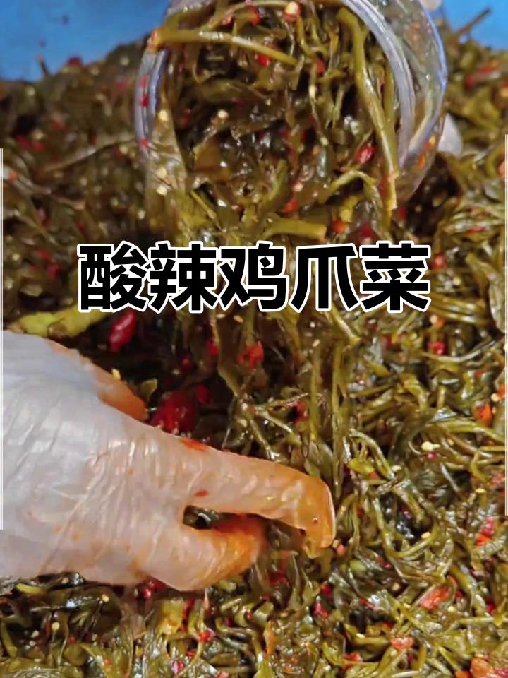 云南鸡爪菜:酸辣开胃,下饭神器