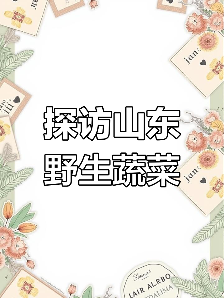 山东野菜大揭秘:从香椿芽到猪毛菜的独特美味