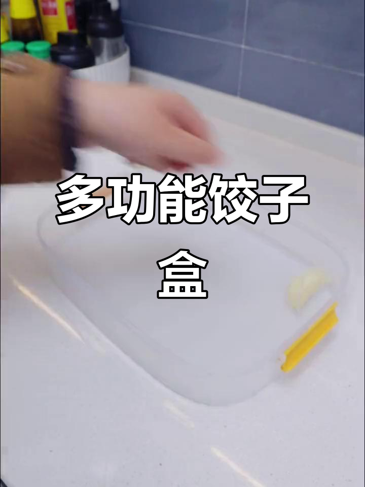 饺子收纳神器,冷冻冷藏两不误,还能当盘子用!