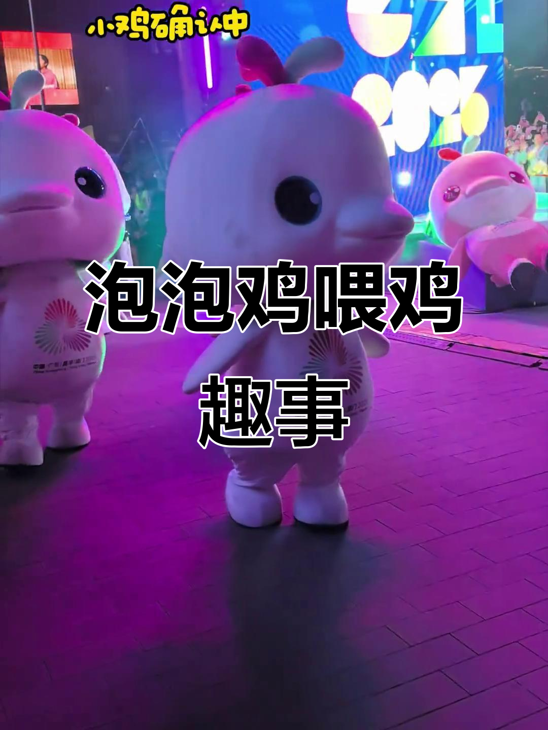 泡泡鸡与大湾鸡的欢乐时光,亲吻、送礼超萌互动