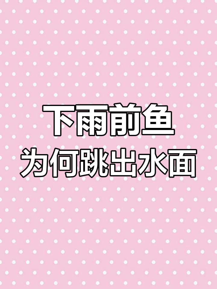 为什么下雨前鱼儿会跳出水?揭秘背后的原因