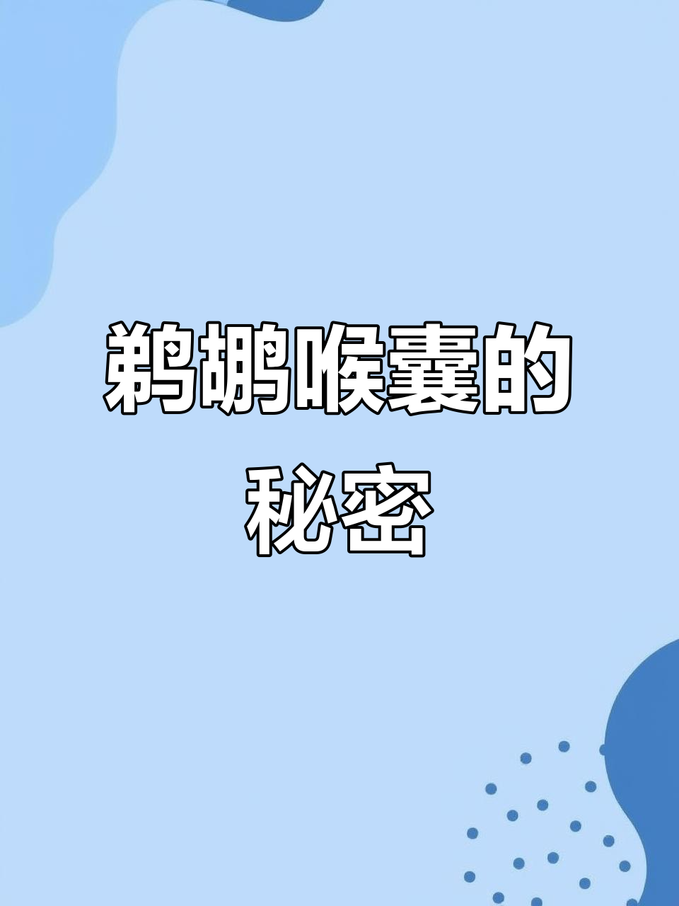 鹈鹕大嘴里的网兜:捕鱼、喂食全靠它