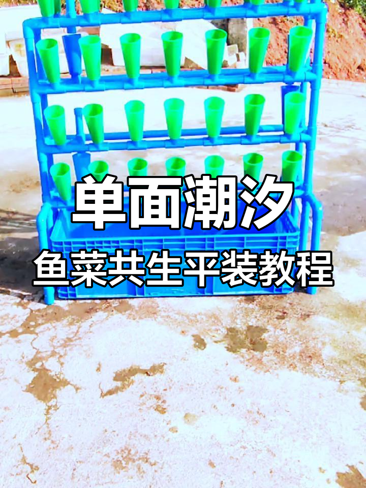 立体单面潮汐虹吸鱼菜共生系统安装全流程,轻松搞定!