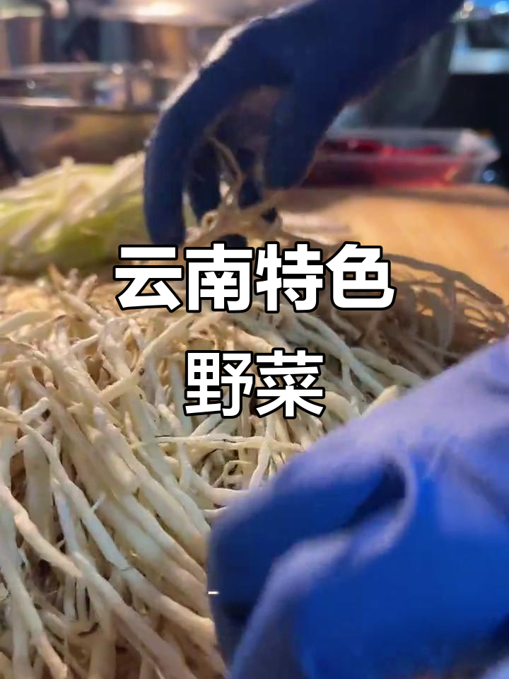 云南人偏爱的野菜,既美味又药用,展现自然与生活的巧妙结合
