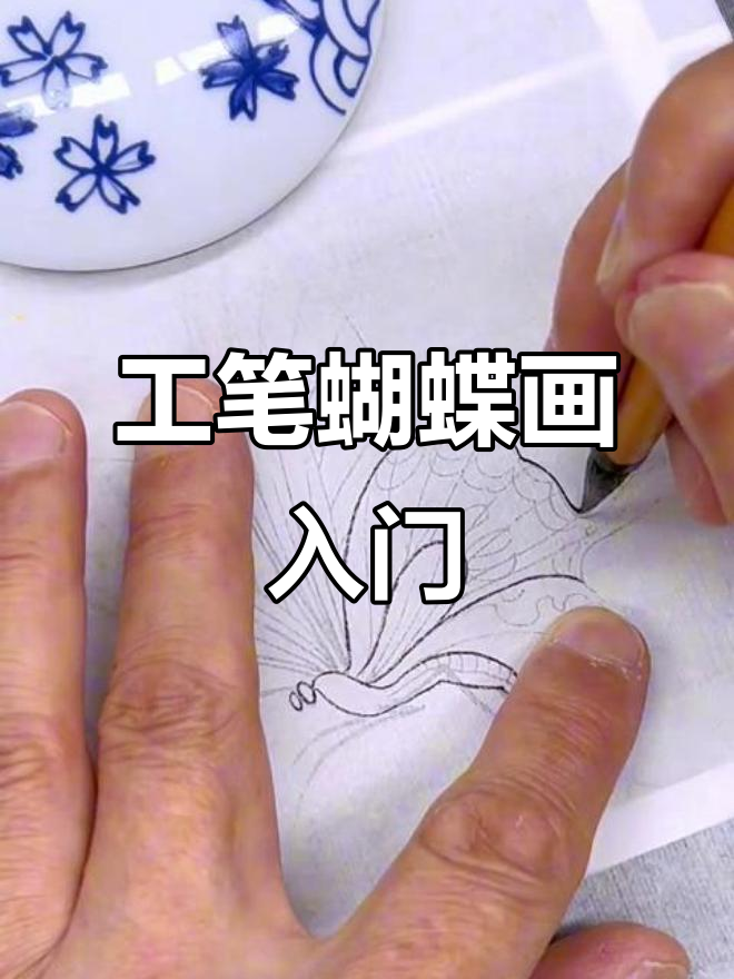 蝴蝶工笔画入门教程,轻松掌握基础技巧