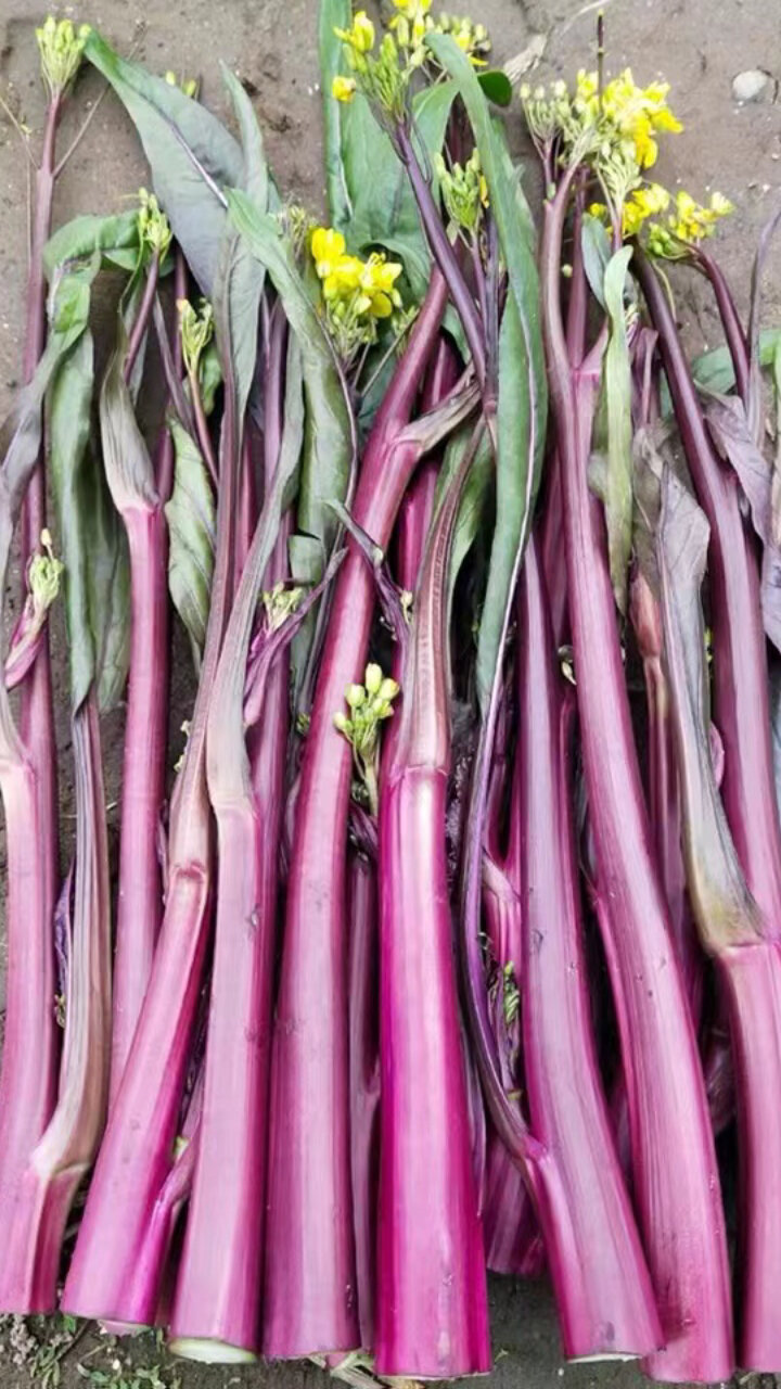 小伙伴们这个大家认识吗叫紫油菜苔也叫紫菜台这个冬天的时令蔬菜