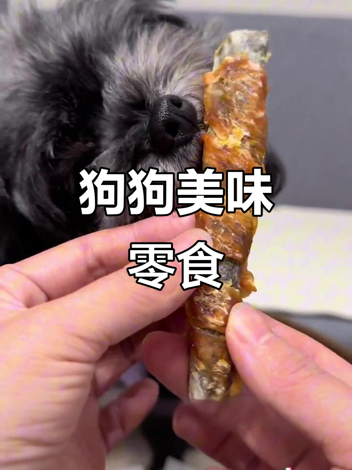 8.8元一袋，鱼肉卷满足狗狗磨牙需求，还能补充营养