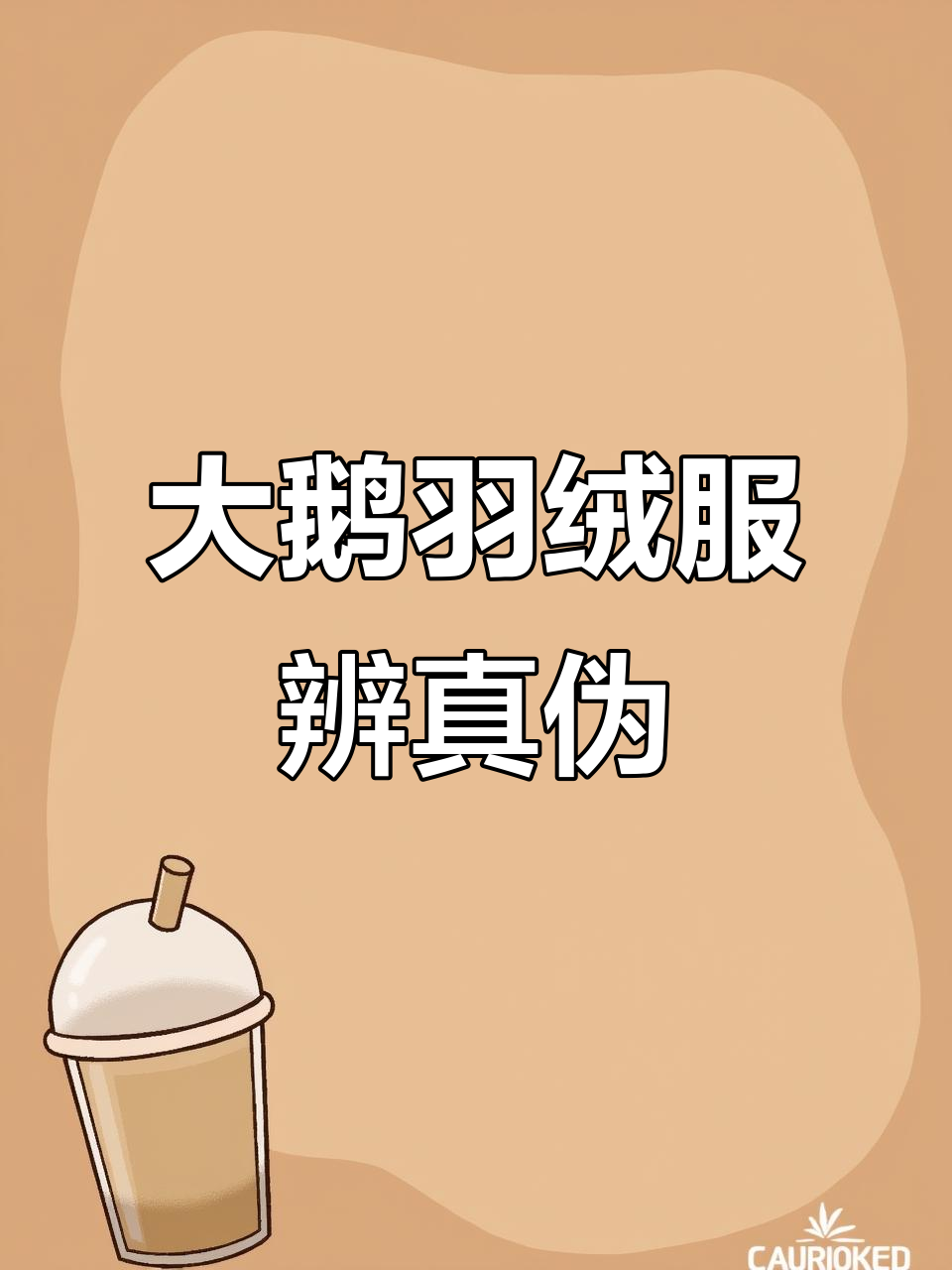 如何辨别大鹅羽绒服真假?细节决定品质