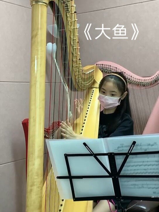 《大鱼》竖琴入门版