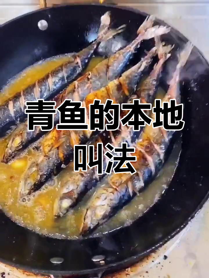 这种鱼在我们这里10元三斤,你们那儿怎么称呼它?