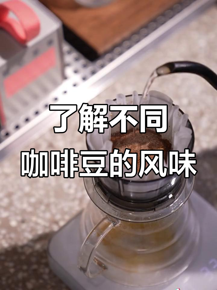 咖啡豆种与产地全解析:从阿拉比卡到蓝山的味道之旅