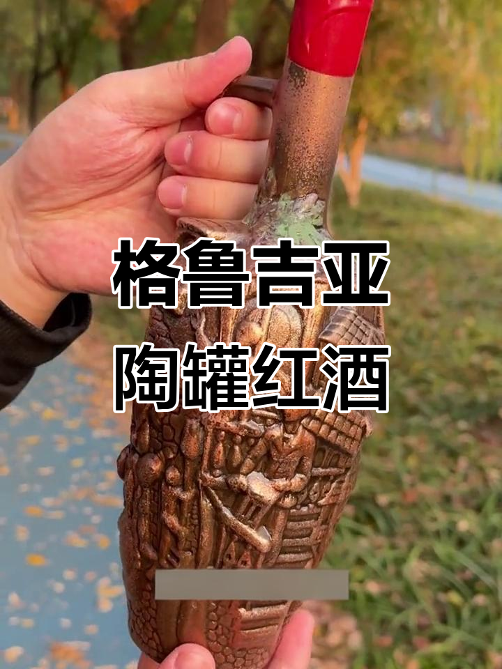 来自格鲁吉亚的古老陶罐红酒，送礼自用两相宜