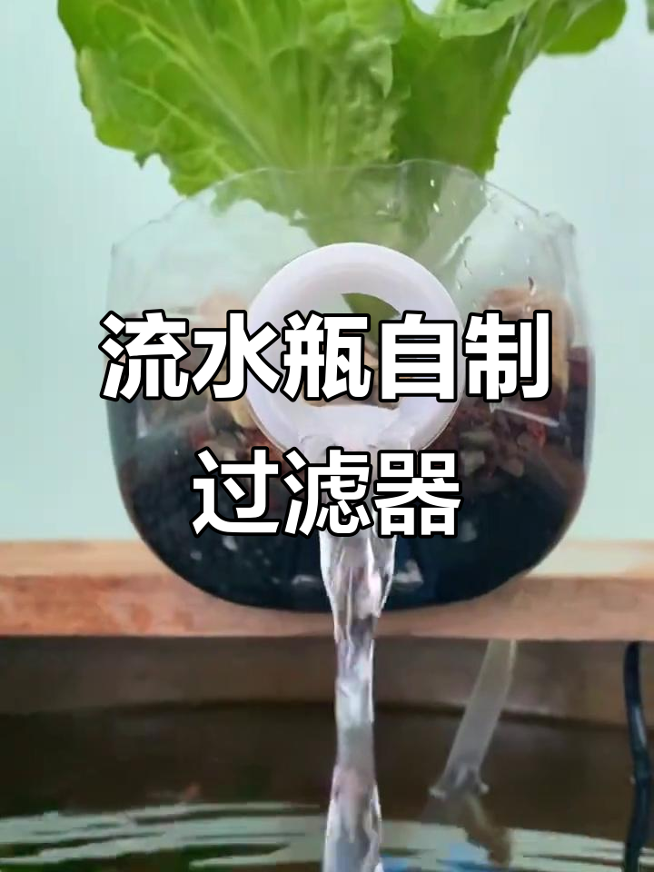 自制滴流过滤系统，打造生态鱼缸，水质清澈又增氧