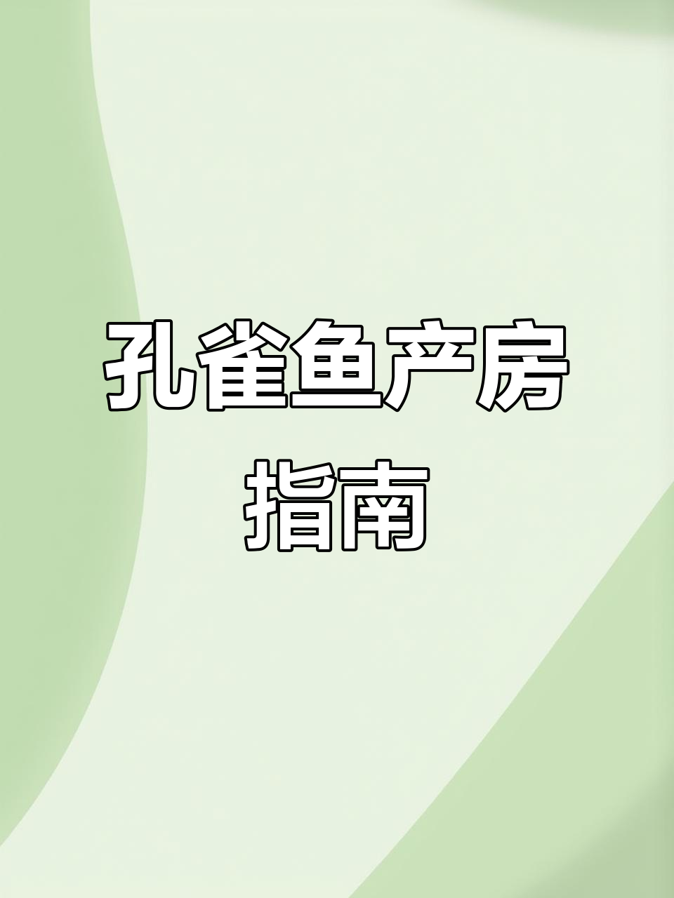 孔雀鱼产房搭建全攻略,双分水宝宝诞生!