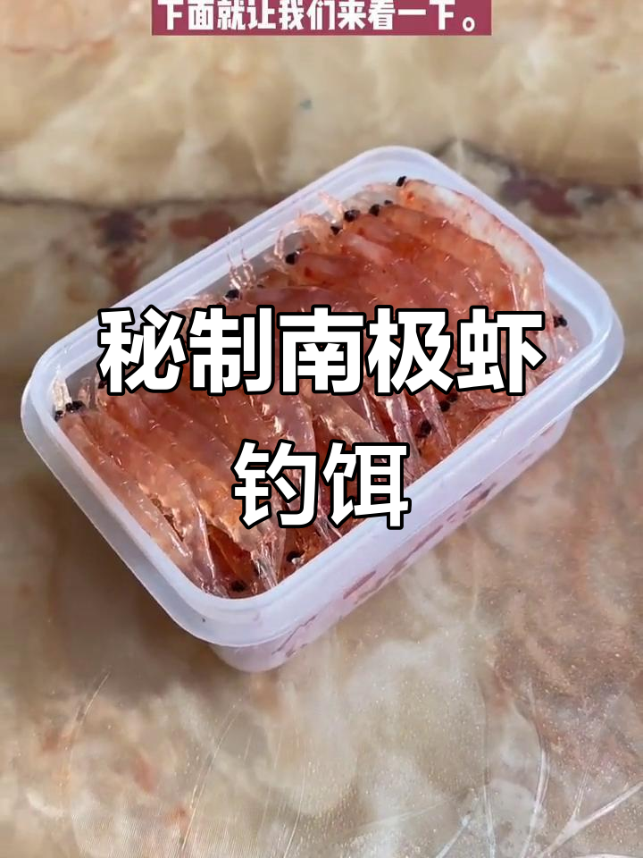 如何制作南极虾钓饵,秘制技巧大公开