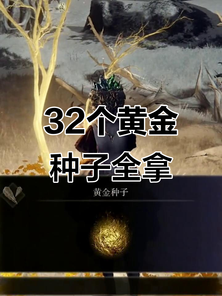 《艾尔登法环》黄金种子全收集:火焰大锅下方位置详解