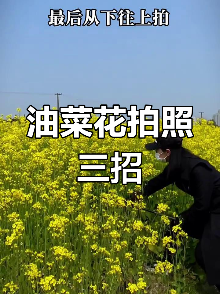 阳春三月,油菜花这样拍超美!三种技巧教你轻松拍摄