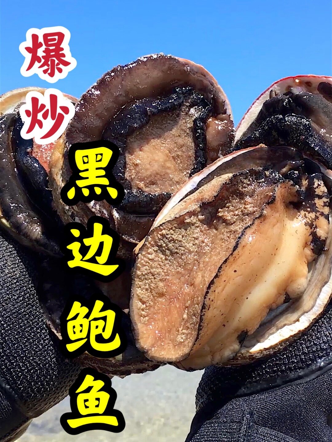 黑边鲍鱼香辣爆炒!一个人的晚餐mini vlog