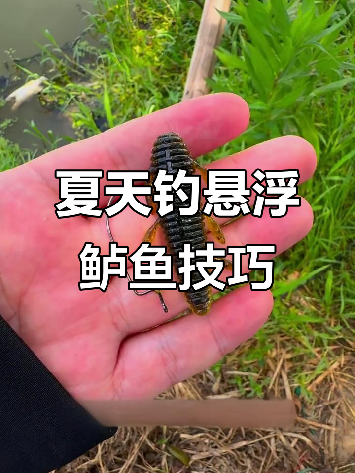 夏季悬浮鲈鱼钓法揭秘，如何搭配饵料和钓组