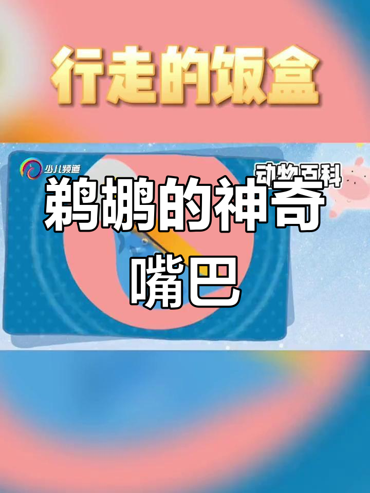 鹈鹕捕食大揭秘:如何用“饭盒”装鱼?