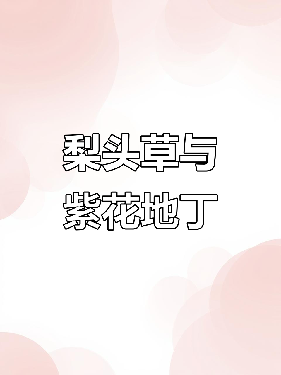 紫花地丁草：像犁头一样的野芹菜，你认识吗？