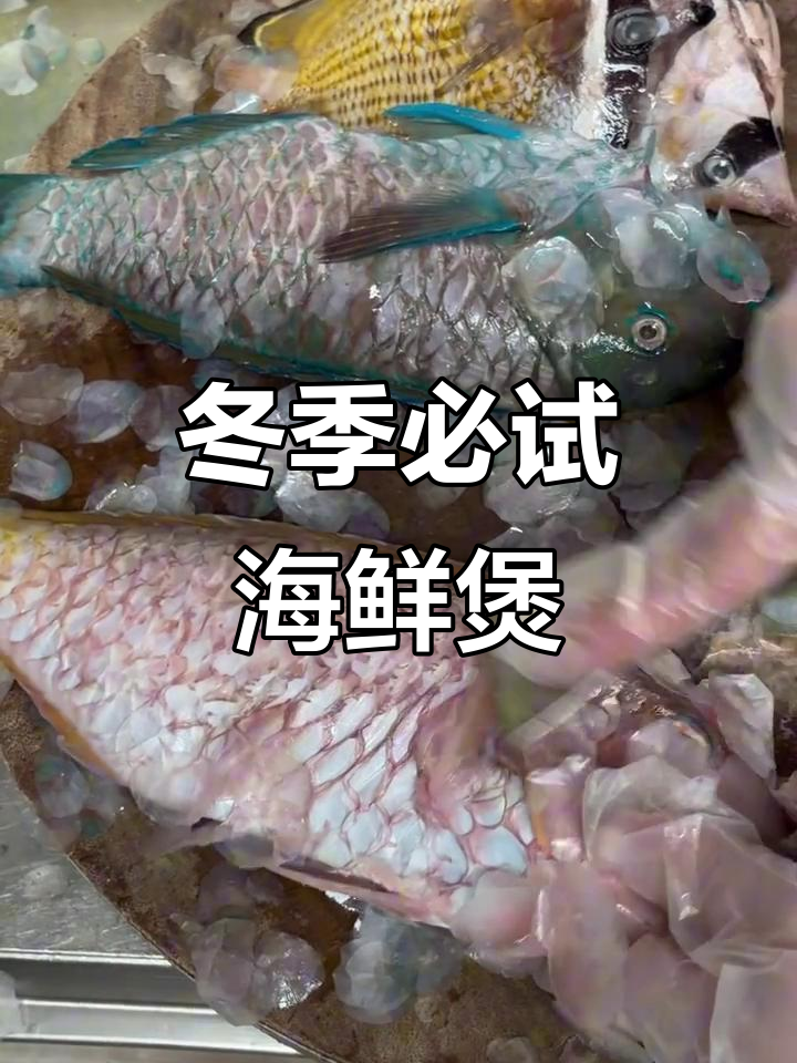 西沙珊瑚鱼煲,秋冬必备美味!