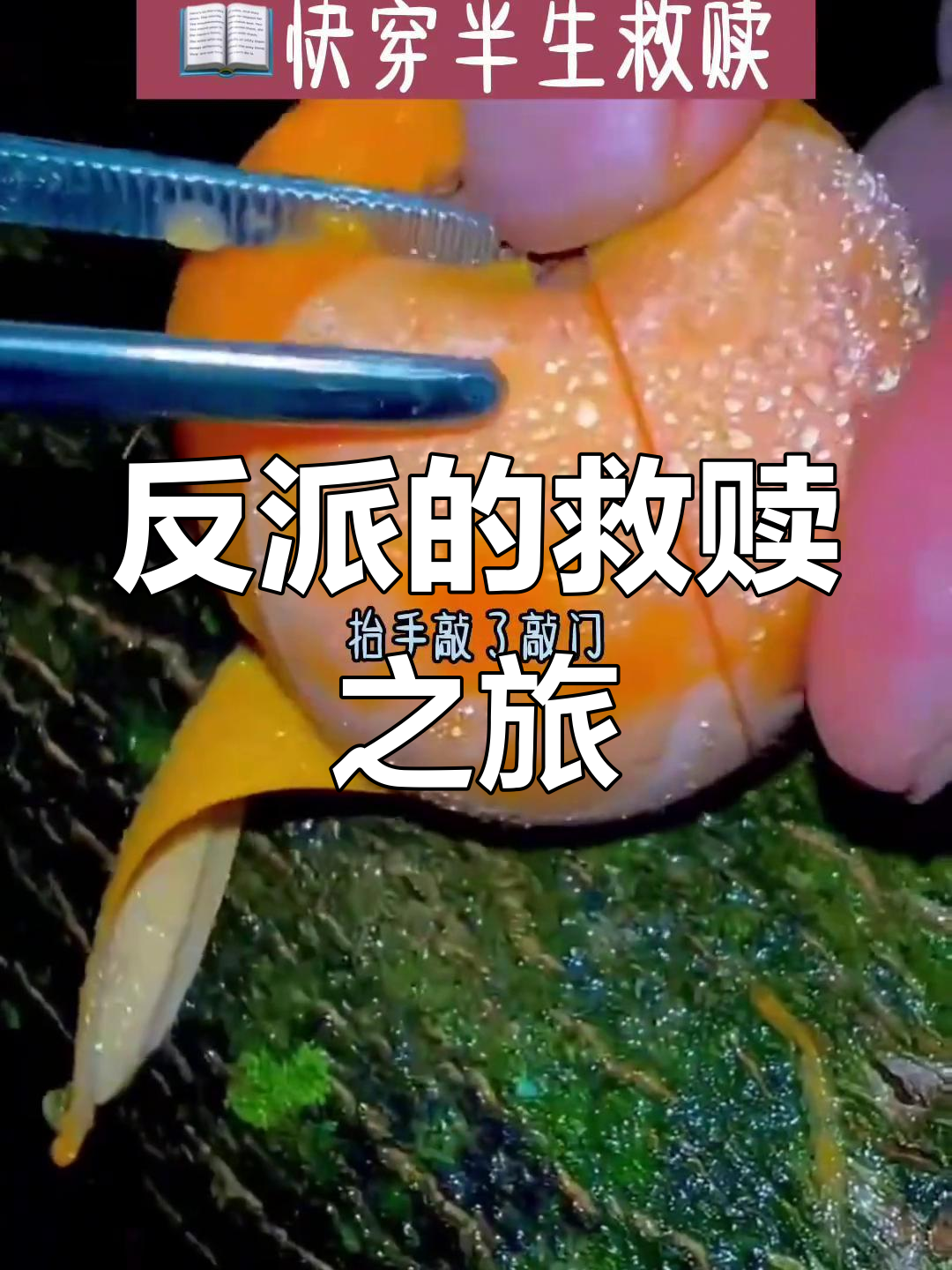 快穿任务:攻略反派,拯救世界