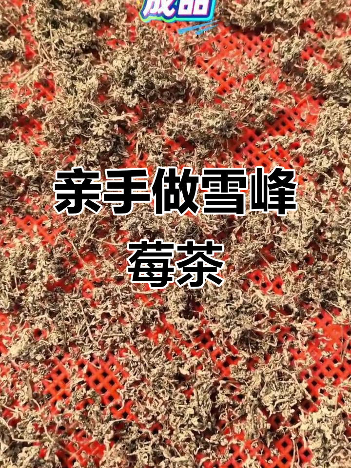雪峰山莓茶手工制作,荒野采摘的独特工艺