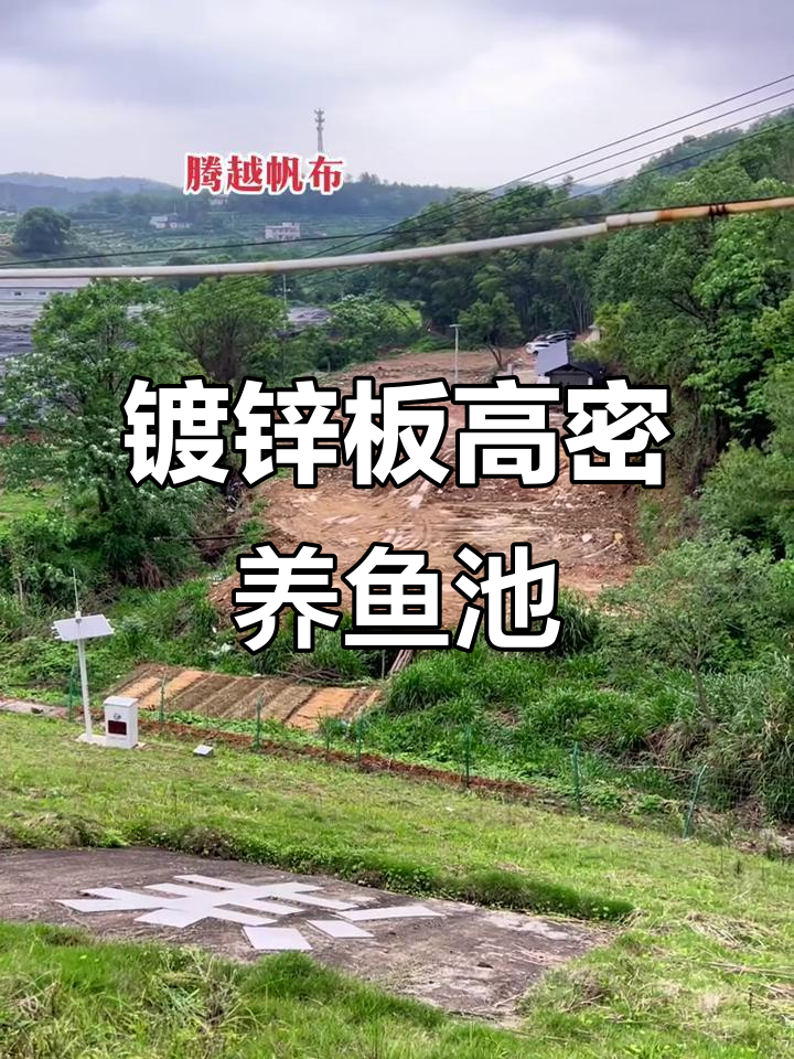 高密度养殖鱼池建设全过程,镀锌板帆布材料打造生态水池
