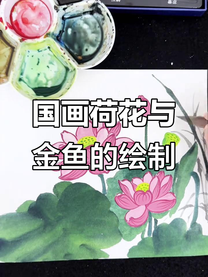 荷花金鱼国画教程，学会这些技巧让画面更生动