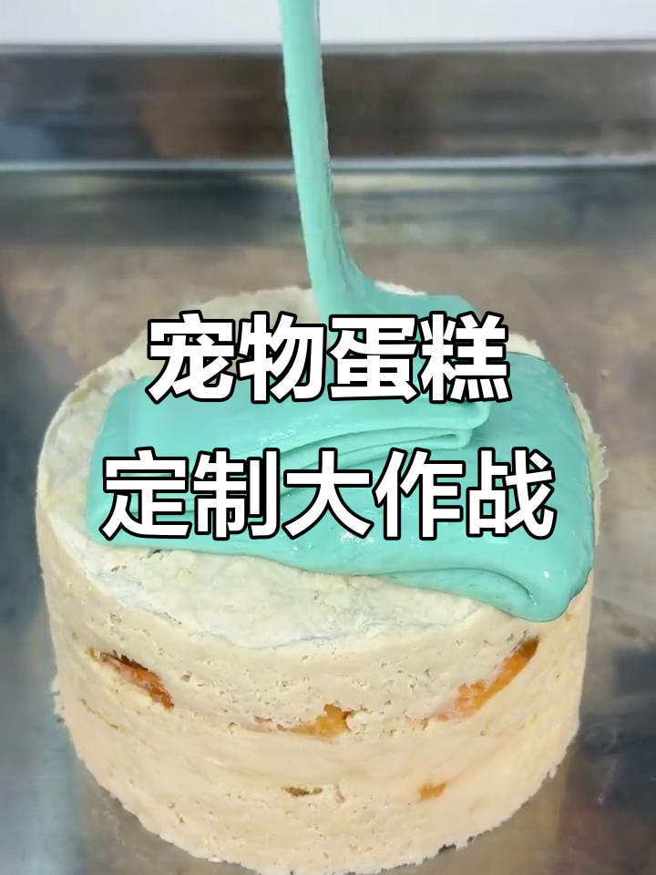 为一家四口定制宠物蛋糕,圣诞节日气氛满满