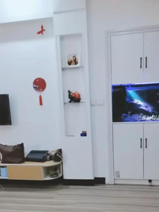 鱼缸鞋柜的结合体