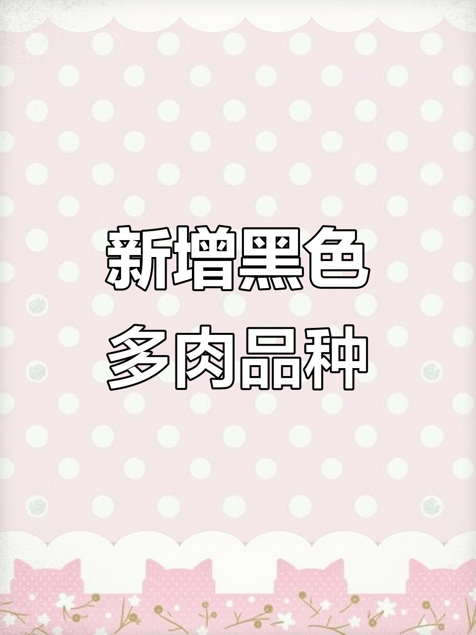昆明发货,姐姐的花园新增黑色多肉品种,超爱这些新宠
