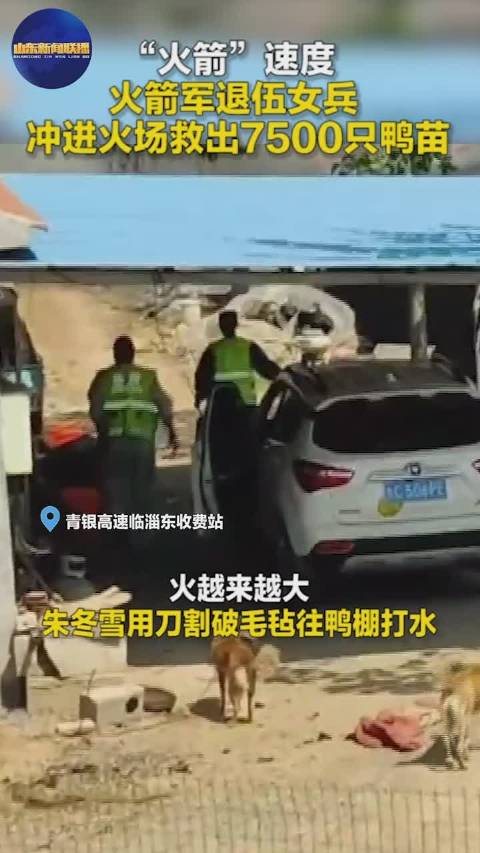 退伍女兵冲进火场救出7500只鸭苗 近日,在青银高速临淄东收费站入口附近一鸭棚起火,正在防