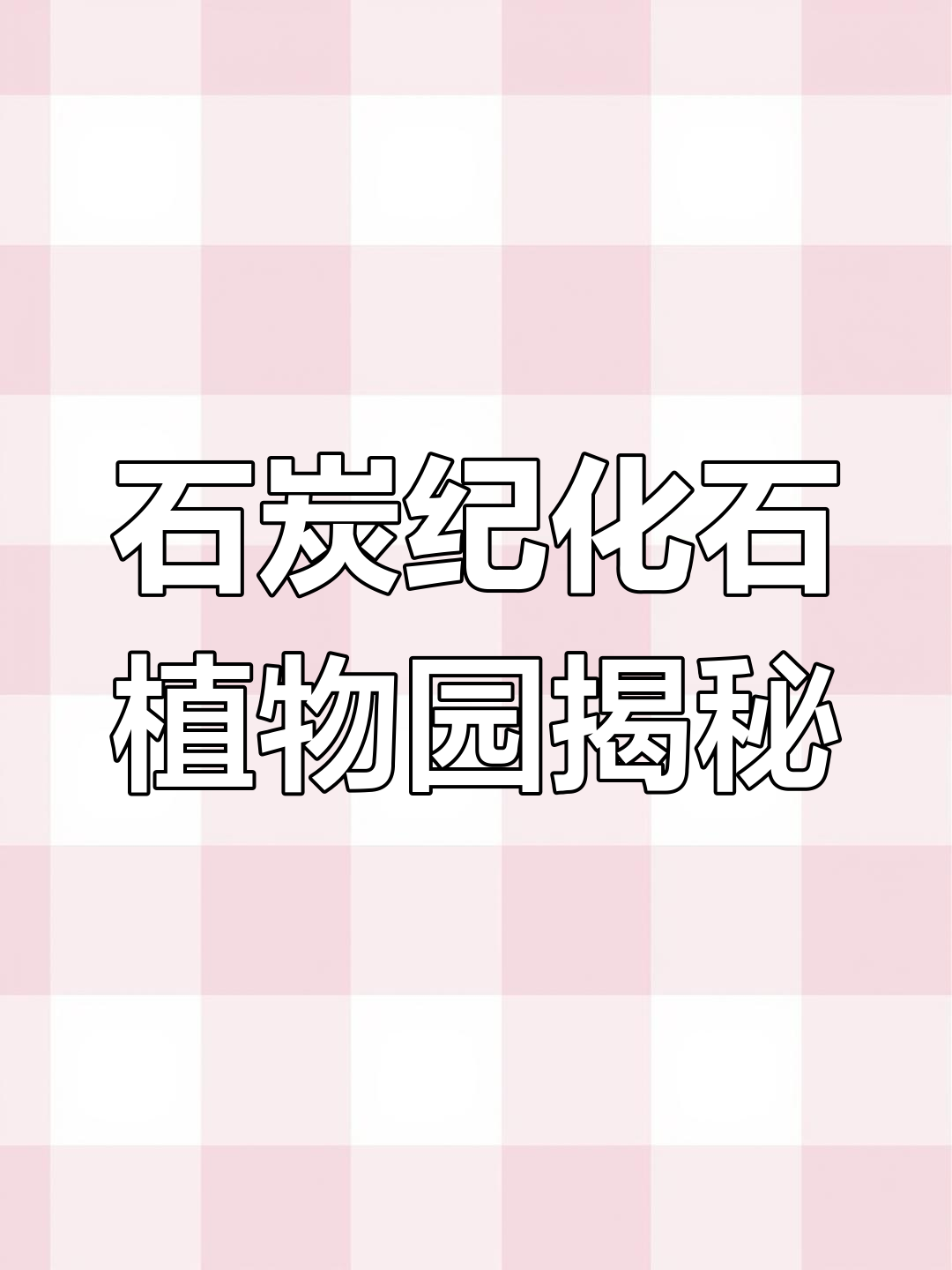 探秘秦皇岛石炭纪化石植物园,远古植物的魅力与神秘