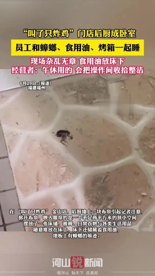 “叫了只炸鸡”门店后厨成卧室，员工和蟑螂、食用油、烤箱一起睡，现场杂乱无章 食用油放床下 