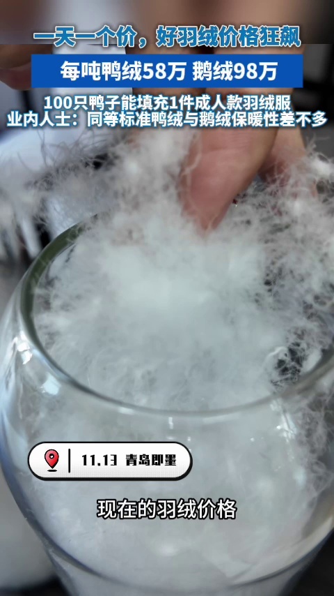 一天一个价,好羽绒价格狂飙:每吨鸭绒58万鹅绒98万!100只鸭子能填充1件成人款羽绒服