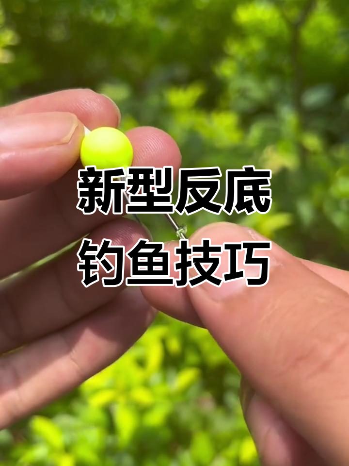 反底钓法大揭秘,轻松捕捉三十斤草鱼