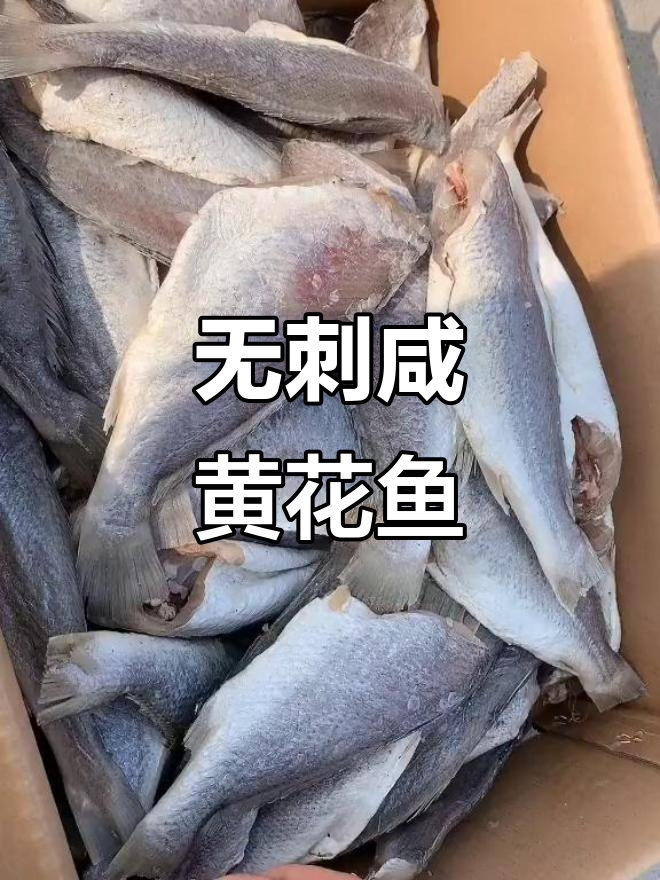 咸黄花鱼,蒜瓣肉无刺,蒸煎炸都美味