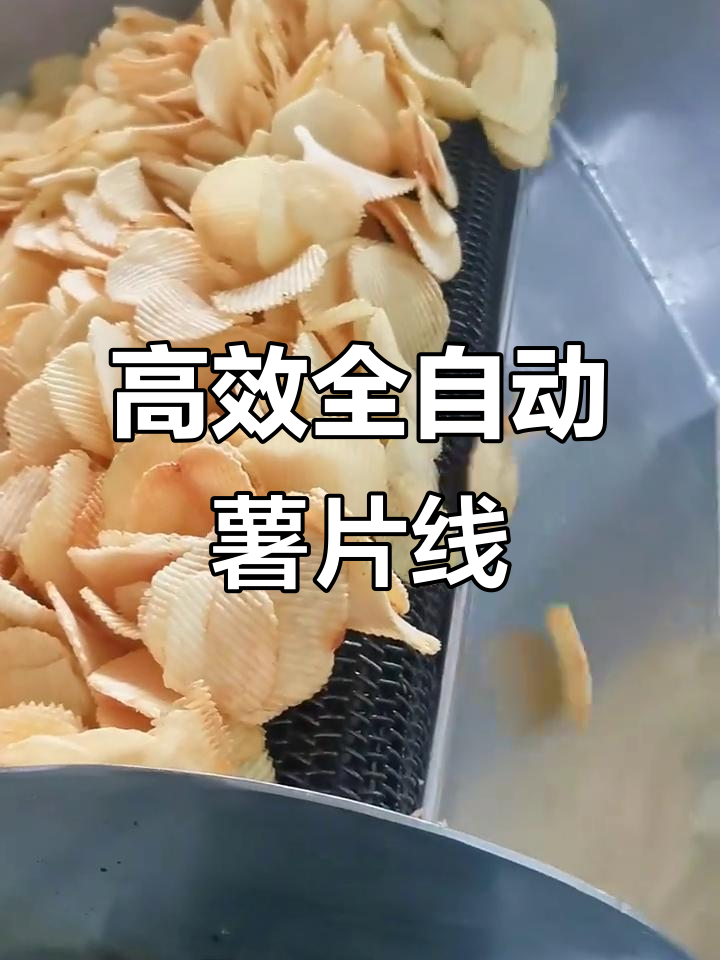 全自动薯片生产线,每小时300公斤高效生产