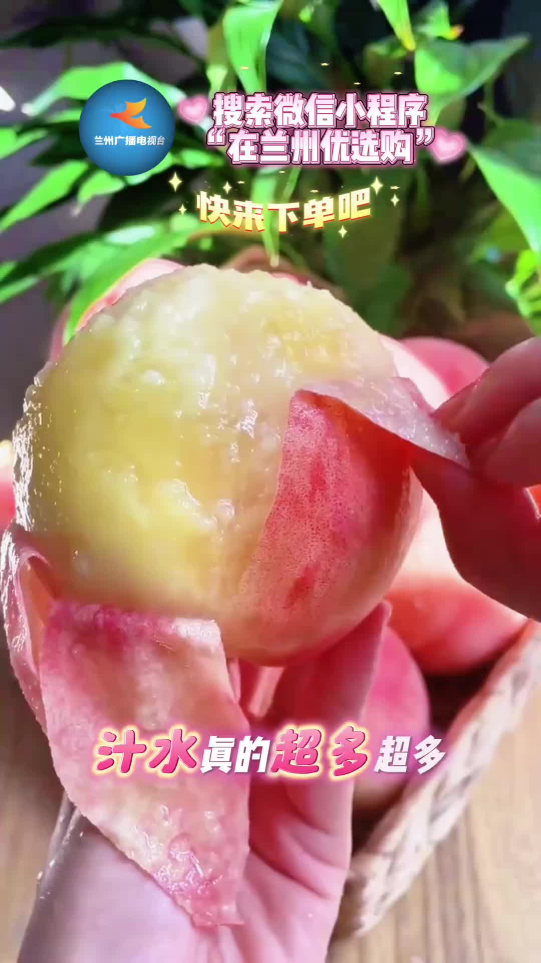 终于等到兰州白凤桃成熟,这口清甜就是夏天